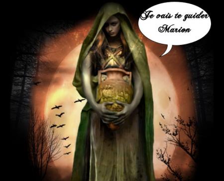 LE SECRET DE LA FORET