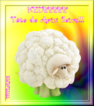 TETE DE CHOUX