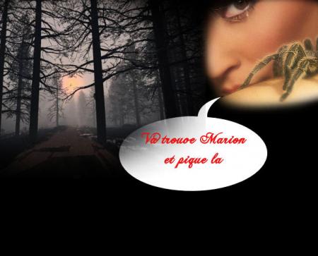 LE SECRET DE LA FORET