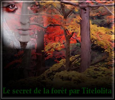 LE SECRET DE LA FORET