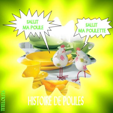 HISTOIRES DE POULETTES 