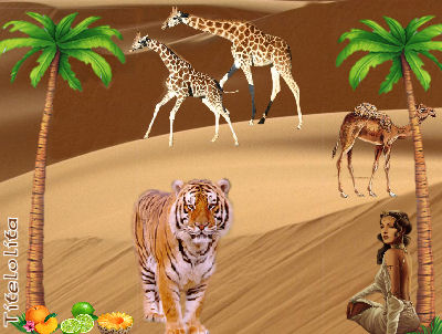 MIRAGE