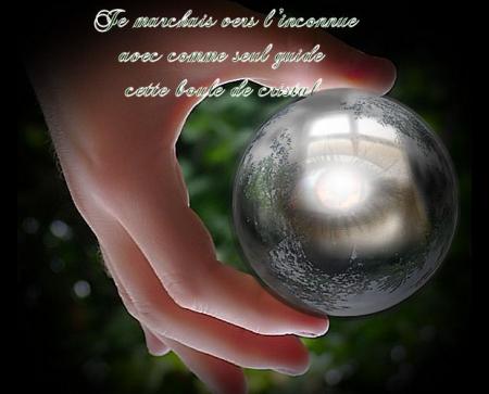 LE SECRET DE LA FORET