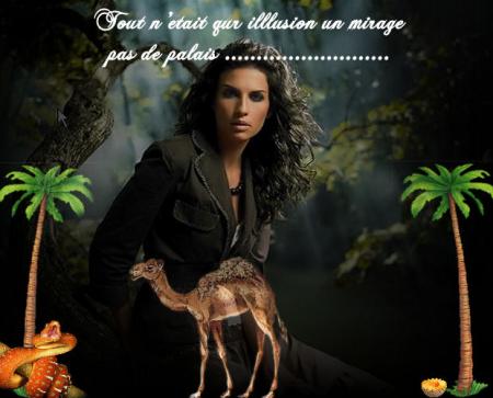 LE SECRET DE LA FORET