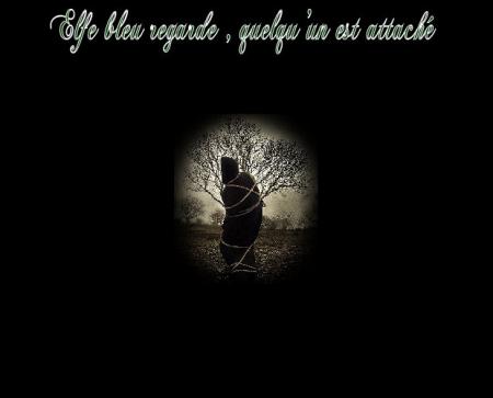 LE SECRET DE LA FORET