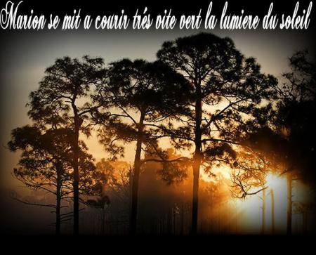 LE SECRET DE LA FORET