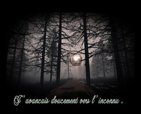 LE SECRET DE LA FORET