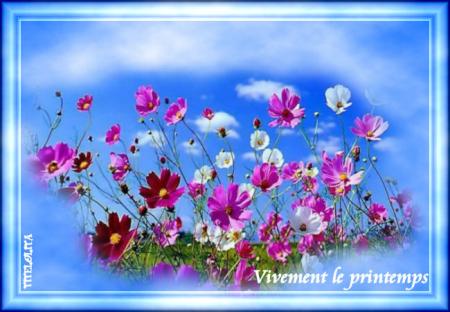 VIVEMENT LE PRINTEMPS