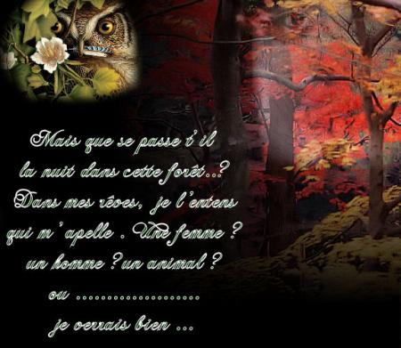 LE SECRET DE LA FORET