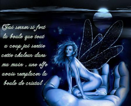 LE SECRET DE LA FORET