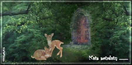 LE SECRET DE LA FORET